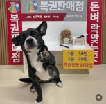 하이댕댕유치원