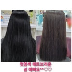염색에 반하다