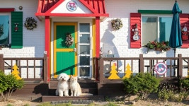 바닷가펜션 크리스마스 애견동반