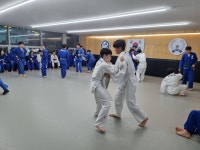 용인대 강 유도관