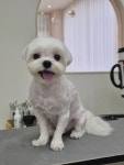 멍돌이와 멍순이