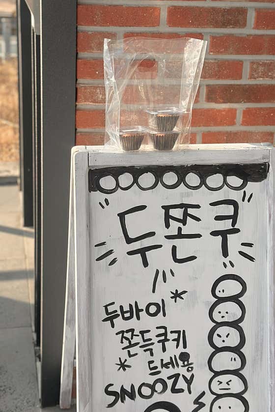스누지 사진