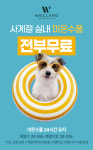위클라드 애견 풀빌라