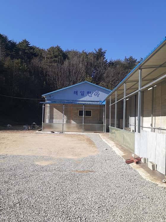 해일한과 사진
