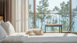 모래알 애견동반 펜션