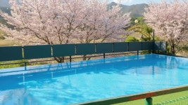 에벤에셀 독채펜션