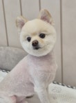 멍돌이와 멍순이