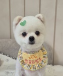 멍돌이와 멍순이