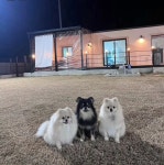 스테이포레스트 펜션