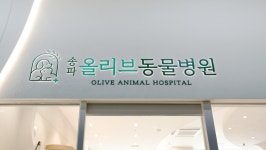 송파올리브동물병원