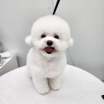 따숩개하우스