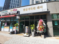 햇살 가득한 헤어 by 은서