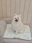멍돌이와 멍순이