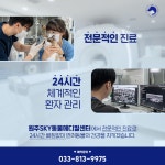 원주24시스카이동물메디컬센터