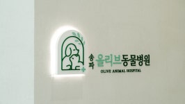 송파올리브동물병원