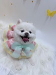 그루몽실