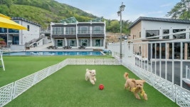 모래알 애견동반 펜션