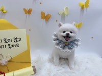 그루몽실