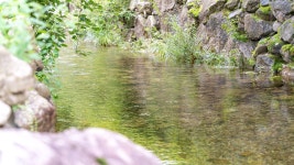 포천 자연과사람들 애견동반펜션