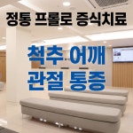 서울정통연합의원