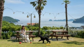 거제 좋은데 애견동반펜션