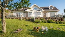 제주 댕댕이 애견 펜션 블랙