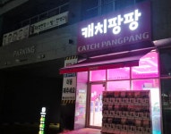 캐치팡팡