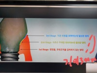 365미르치과기공소