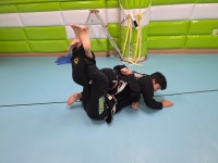 신사아카데미합기도유도키즈짐주짓수