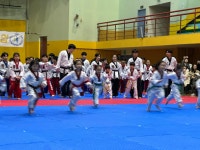 삼송백호태권도장