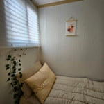 스테이 연 가락시장점