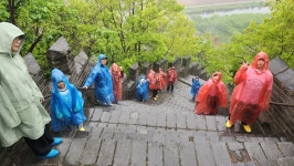 특공무술 합기도 운무도장