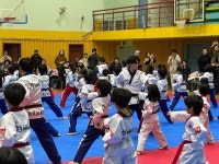 삼송백호태권도장