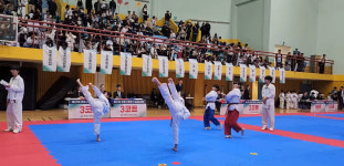 삼송백호태권도장