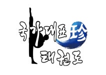 국가대표 진 태권도