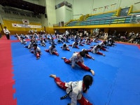 삼송백호태권도장