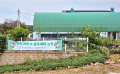 두리체리베리농원