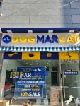 도그마캣 남양주창현점