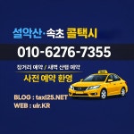개인택시