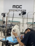 MBC아카데미애견미용학원 서울강북점