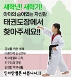 인하한별태권도