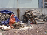 건강찾는산야초