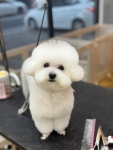 트리밍박스
