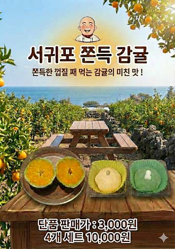 제주빠박이 사진