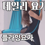 데일리요가앤필라테스