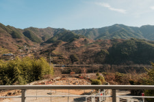 소담화개