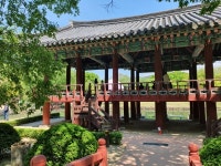 삼성여행사 대구