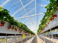 무지개텃밭 체험농장