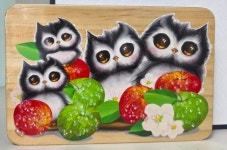 보람공인중개사사무소