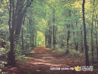 힐스템 시흥능곡지점